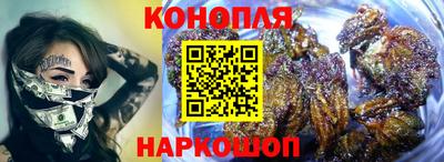 шишки Заволжье