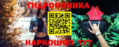 индика Жуковский