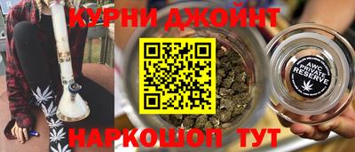 шишки Заволжье